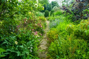 A lushly planted garden path