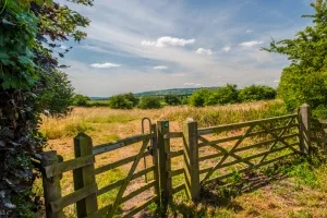 Entering the battlefield