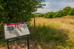 The battlefield information panel
