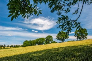 Battle of Evesham Greenhill site