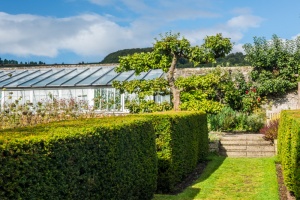 Clipped hedges and a garden greenhouse