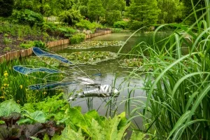 A sculpture dragonfly overlooks a quiet pond