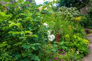 Flower garden outside the Parsonage