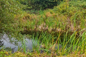 The south-east moat