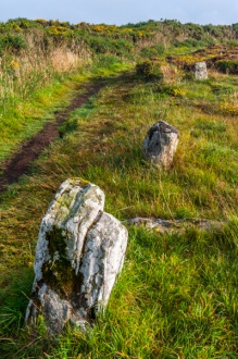 Looking up a stone row