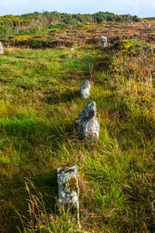 Here's a row that is easier to follow!