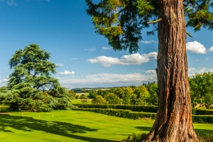 Looking out towards the hickory golf course