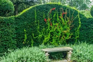 A simple garden bench