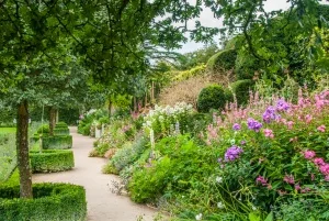 A colourful garden walk