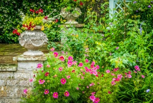Late summer colour