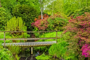 A footbridge in the informal gardens