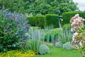 The formal gardens
