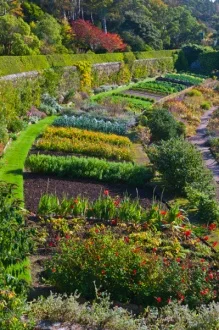 Walled garden beds