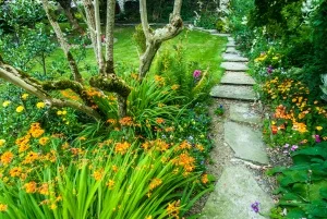 The Victorian garden