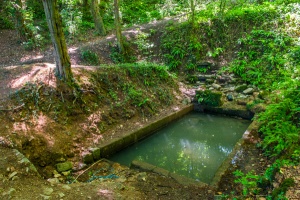 St Dyfnog's holy well