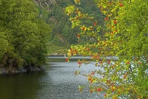 Loch Katrine in autumn