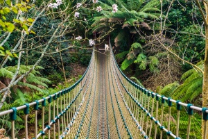 The Burmese Rope Bridge across 'The Jungle'