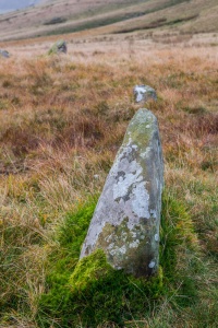 Looking along the stone circle