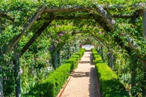 A trellised garden walk