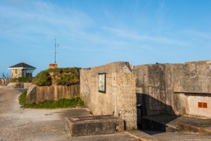 Needles New Battery