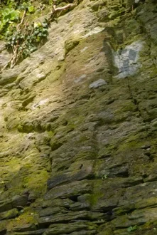 The Nevern Pilgrim's Cross