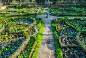 Tudor Knot Garden, New Place, Stratford upon Avon