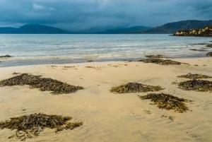 Ord, Sleat, Isle of Skye