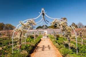 The walled garden