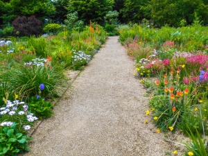 A colourful garden path