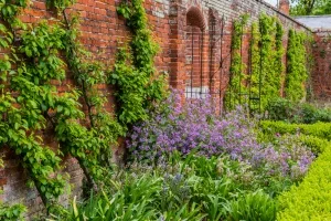 The walled garden