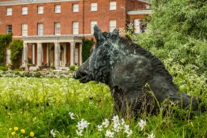 A boar sculpture in front of the Hall