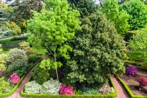 Burns Memorial Garden, from the Monument