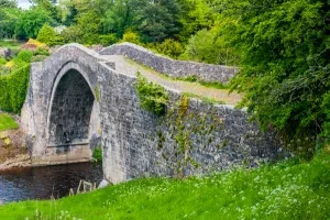 The bridge from the far bank