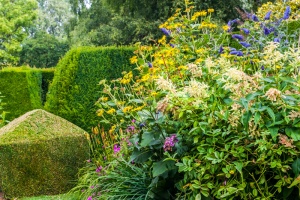 Summer colour in the garden