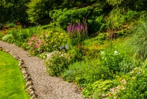 A winding garden walk