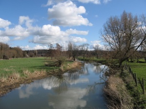 The Rivel Ivel at Sandy, (c) Robert Lacey