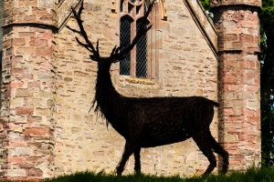 Stag sculpture on Moot Hill