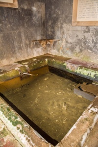 The well chamber