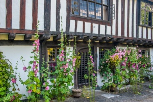 The house front