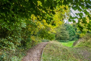 The inner bailey ditch and bank