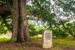 The grave of Copenhagen, Wellington's horse at Waterloo