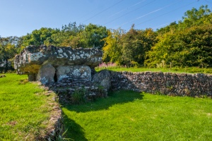 The forecourt