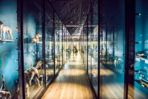 Gallery 7 exhibits