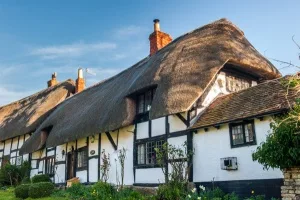 The Owl Pen, Boat Lane