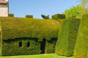 Topiary beside the central block