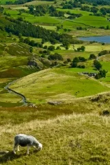 Wrynose looking into Langdale