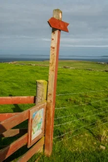 Getting there is half the fun!