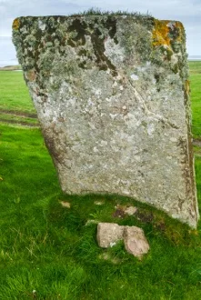 And the front view ...