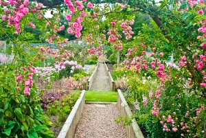 Walled Garden