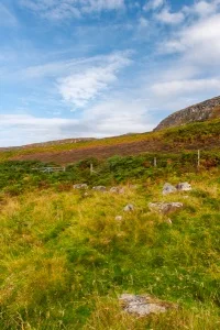 Ruins of deserted buildings
